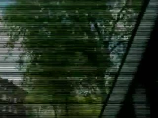 Для дорослих хвойда отримує для ебать a мед турист на його візит
