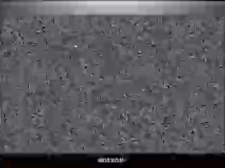 大 放荡 母狗 砰 他们的 twats